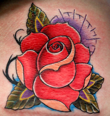 Trent Edwards - rose